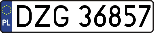 DZG36857
