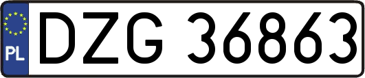 DZG36863