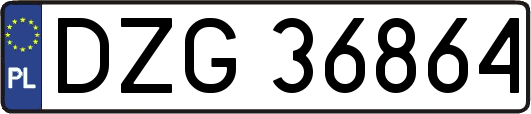 DZG36864