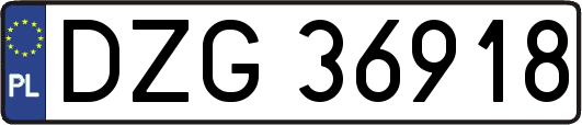 DZG36918