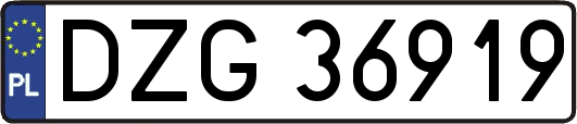 DZG36919