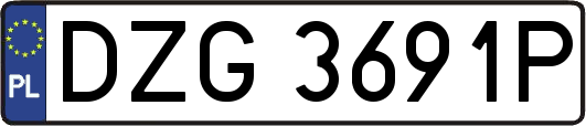 DZG3691P