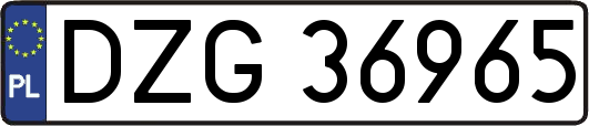 DZG36965