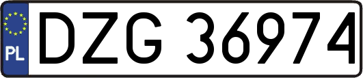DZG36974