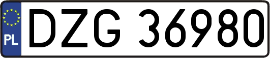 DZG36980