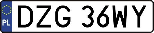 DZG36WY