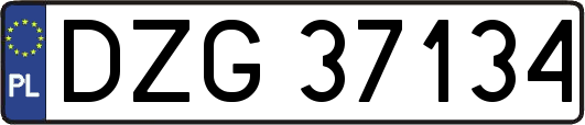 DZG37134