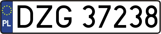 DZG37238