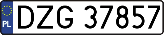 DZG37857