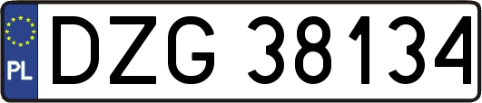 DZG38134