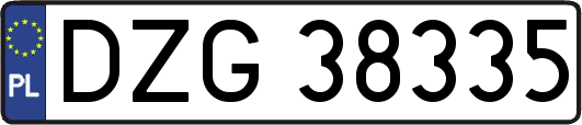 DZG38335