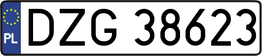 DZG38623