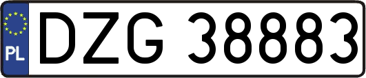 DZG38883