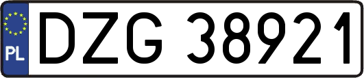 DZG38921