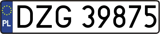 DZG39875