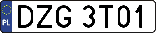 DZG3T01