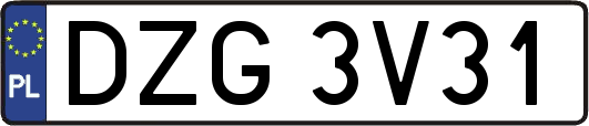 DZG3V31