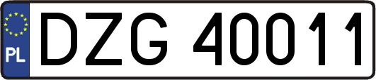 DZG40011