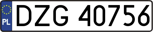 DZG40756