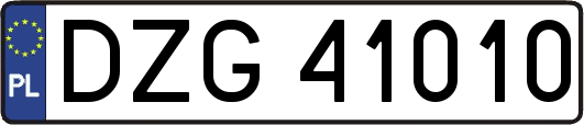 DZG41010