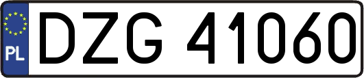 DZG41060