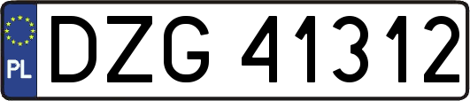 DZG41312