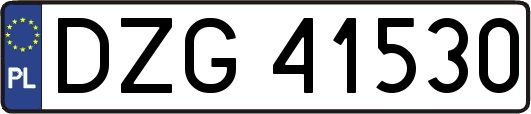 DZG41530