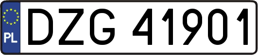 DZG41901