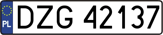 DZG42137