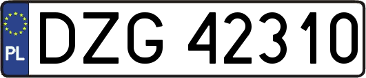 DZG42310