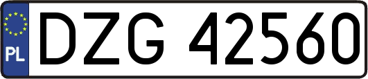 DZG42560