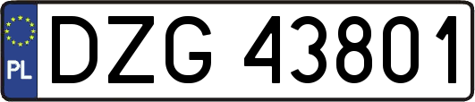 DZG43801