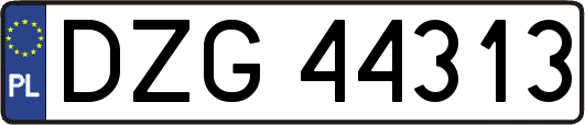 DZG44313