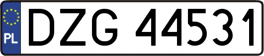 DZG44531