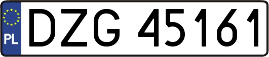 DZG45161