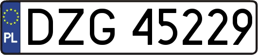 DZG45229