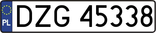 DZG45338