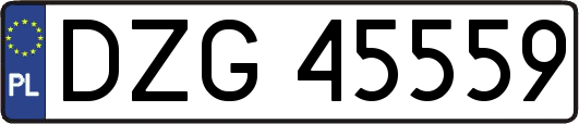 DZG45559