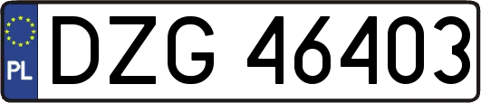 DZG46403