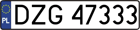 DZG47333