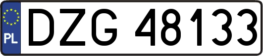 DZG48133