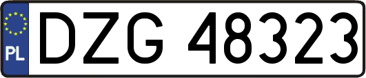 DZG48323