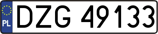 DZG49133