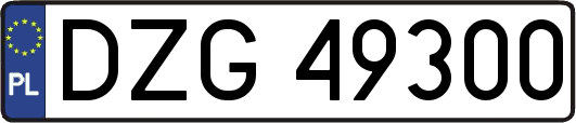 DZG49300