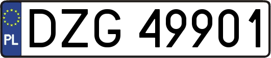 DZG49901