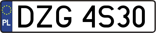 DZG4S30