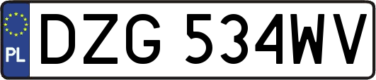 DZG534WV