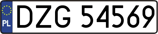 DZG54569