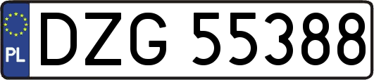 DZG55388