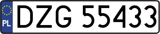 DZG55433